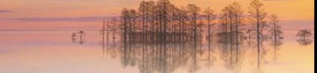 はぴはぴ005's header image