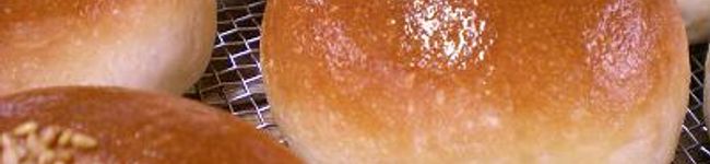 大洋堂Yoshi's header image
