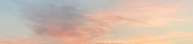 y_0lly's header image