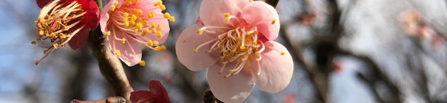 catea♡'s header image