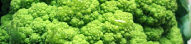 rosemary_cafe's header image