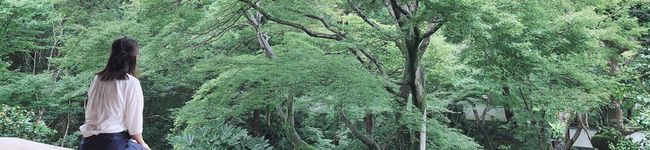 なっとうりうむ's header image