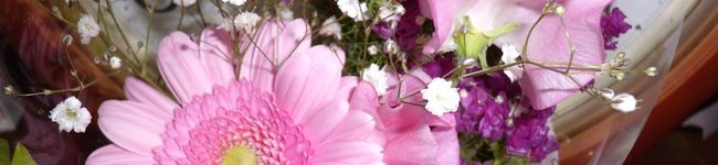 ぴかトン's header image