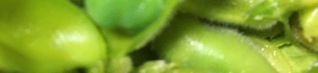 西沢昌's header image