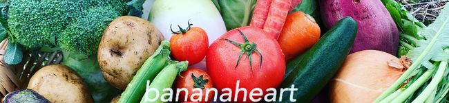 877heart's header image