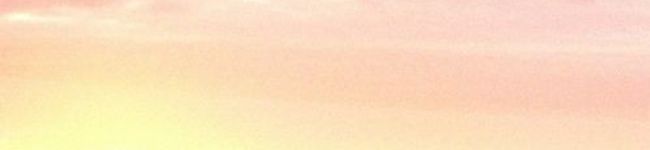 ゆきんこ♤'s header image