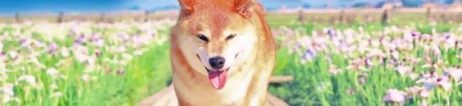 ちゃぴちゃぴ！'s header image