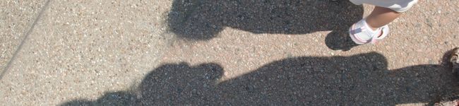 eeemi's header image