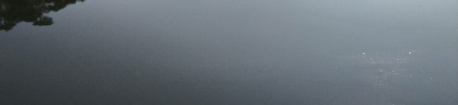 ゾノのゴア's header image