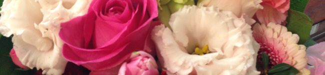 いべりこmayu's header image
