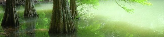 lantibell's header image
