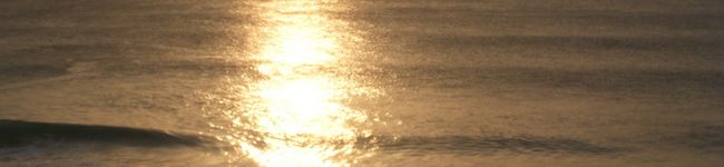 rina1173's header image