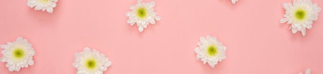 まみくりこ's header image