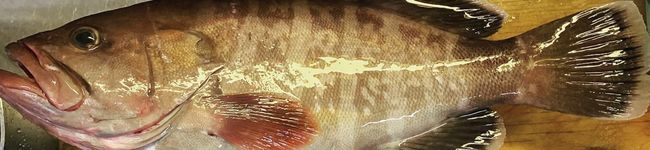 S食堂's header image
