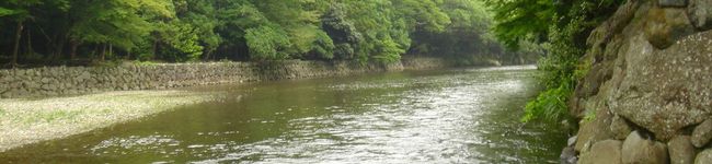 roomy's header image
