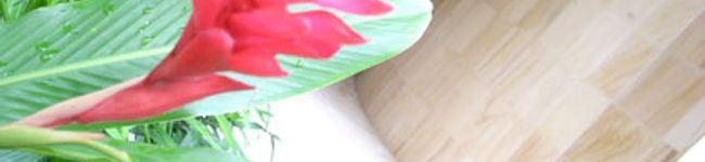 パチコさん's header image