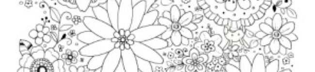 あｙａ's header image
