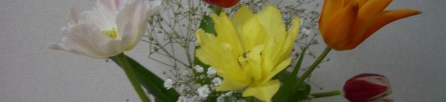 tuliphouse's header image