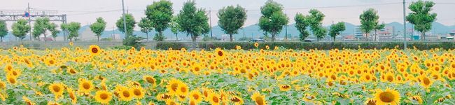 mako___'s header image