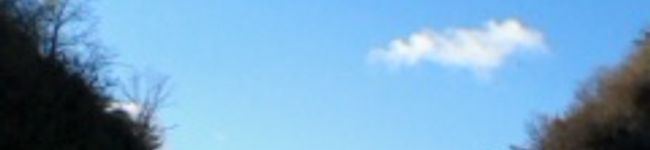 サンクオ's header image
