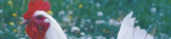 Lanaてゃん's header image