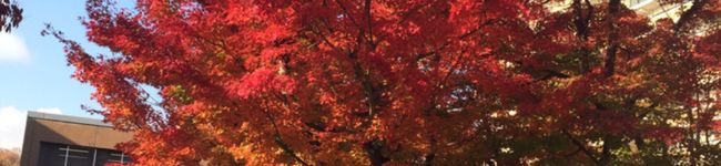 kao1215's header image