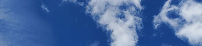 はいせん's header image