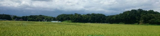 tomo pagu's header image