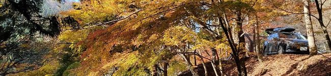 noopom's header image