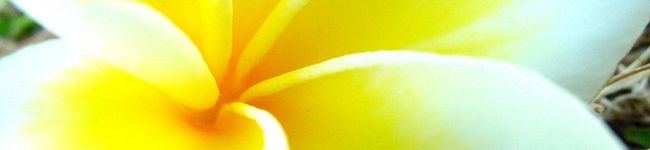 lune☆彡's header image