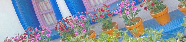 おとちゃーーーーん's header image