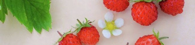 ♡☆yuu☆♡'s header image