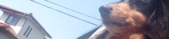 chokoloco's header image