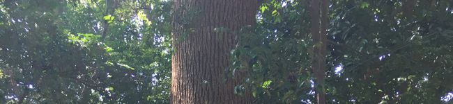 heidi129's header image