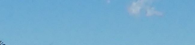 りぃめぐ's header image