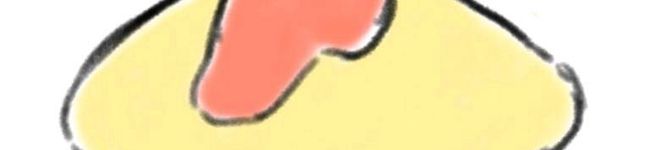 ぽろよ's header image