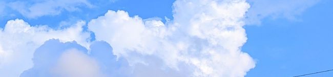 陽紫傘's header image