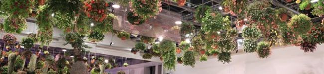クックJ5LK38☆'s header image