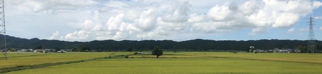にいがた五泉商店's header image