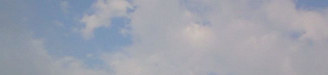 くまこしゃん's header image