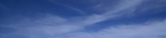 bambi0420's header image