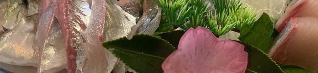 ❈ユリカ's header image