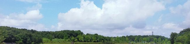 土日料理親父's header image