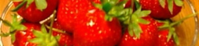 fmkitchen's header image