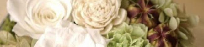 クック☆ちか98☆'s header image