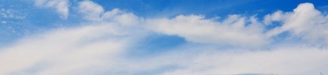 らむぞう's header image