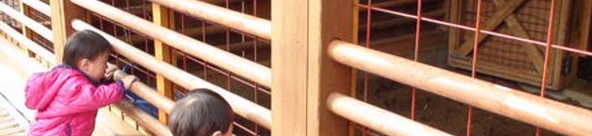 Yyy's header image