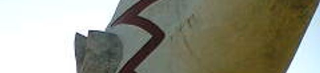 tenkiame's header image