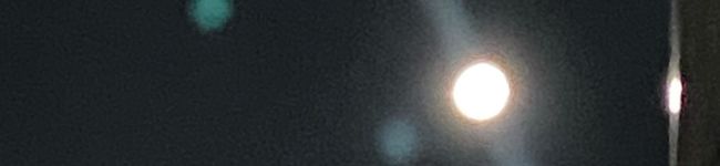 りおんたんこぶ料理人's header image