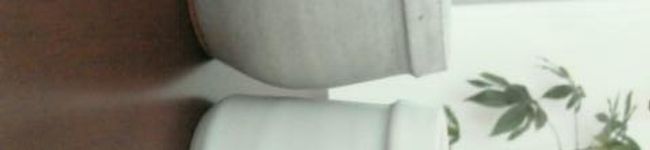 ノリ★'s header image